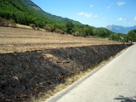 2009-07-feux-de-broussailles-01.jpg